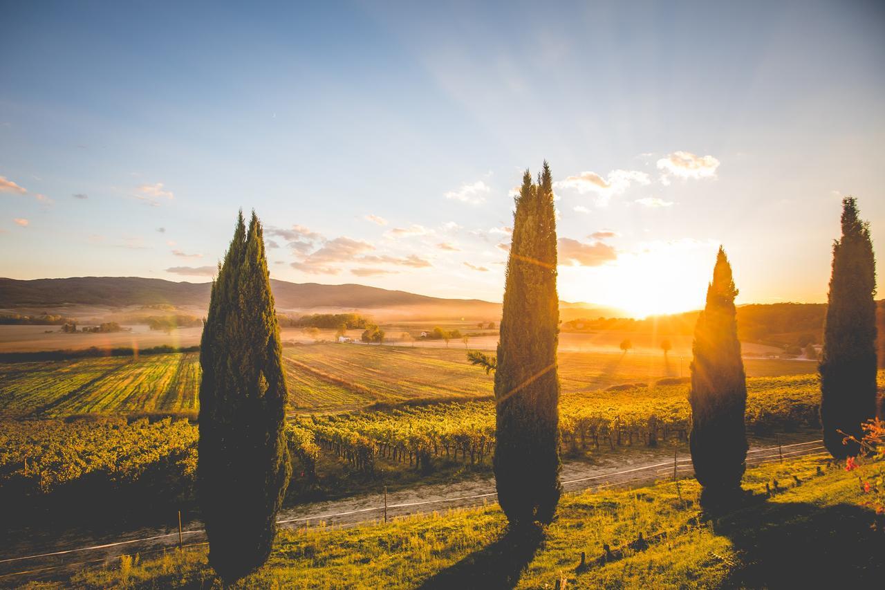 Casali Di Bibbiano Villa Buonconvento Eksteriør bilde